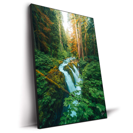 Prehistoric Falls