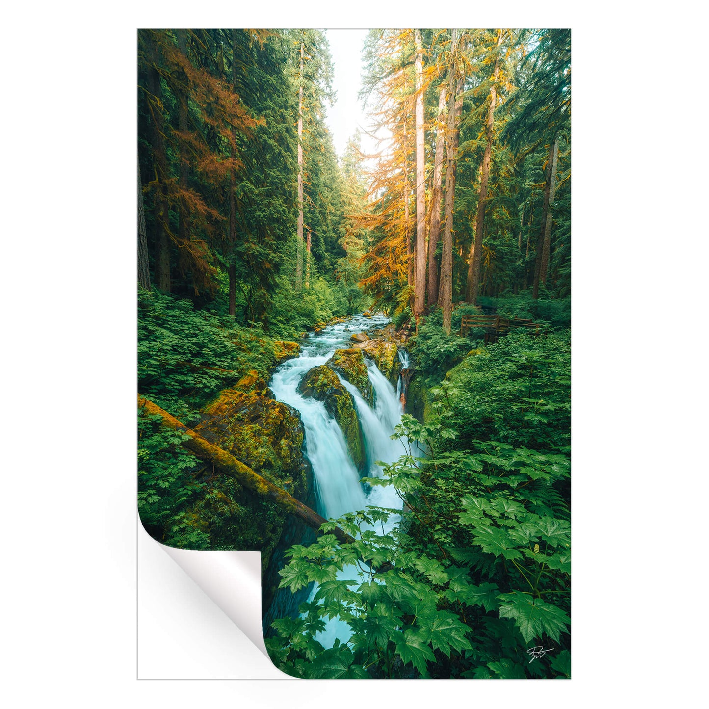 Prehistoric Falls