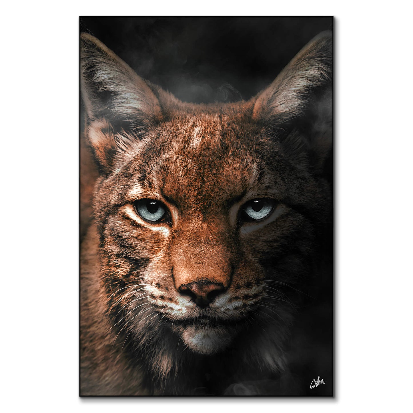 Lynx