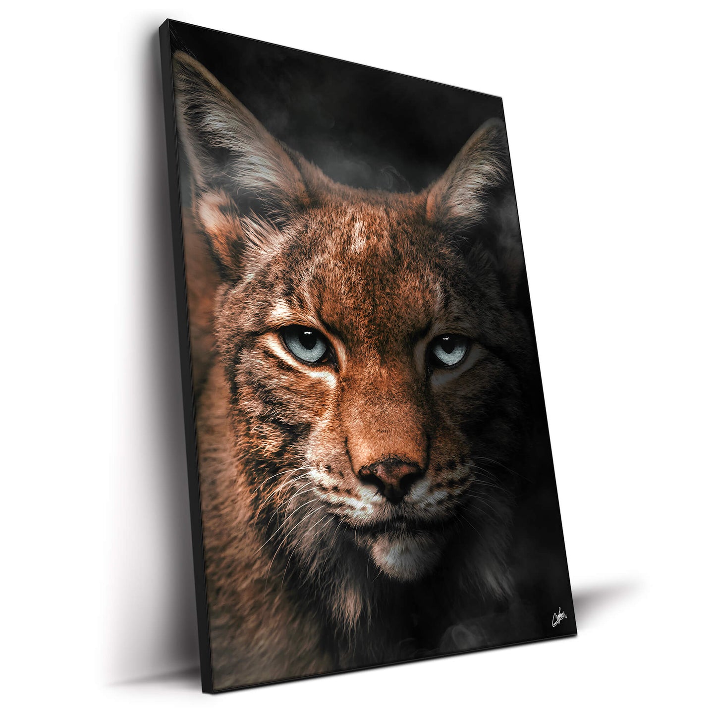 Lynx