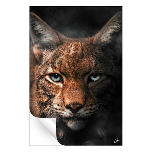 Lynx
