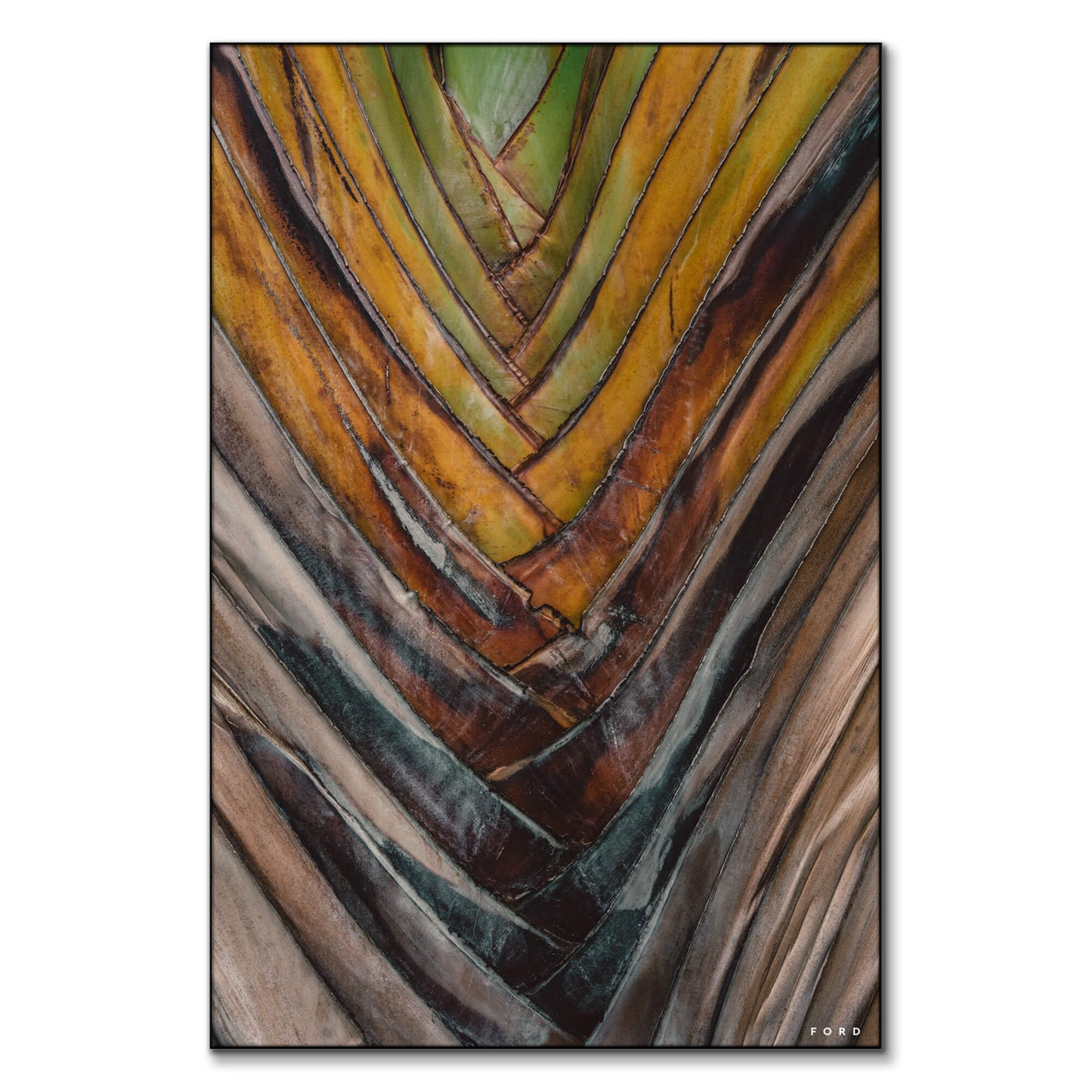 Layers of Life
