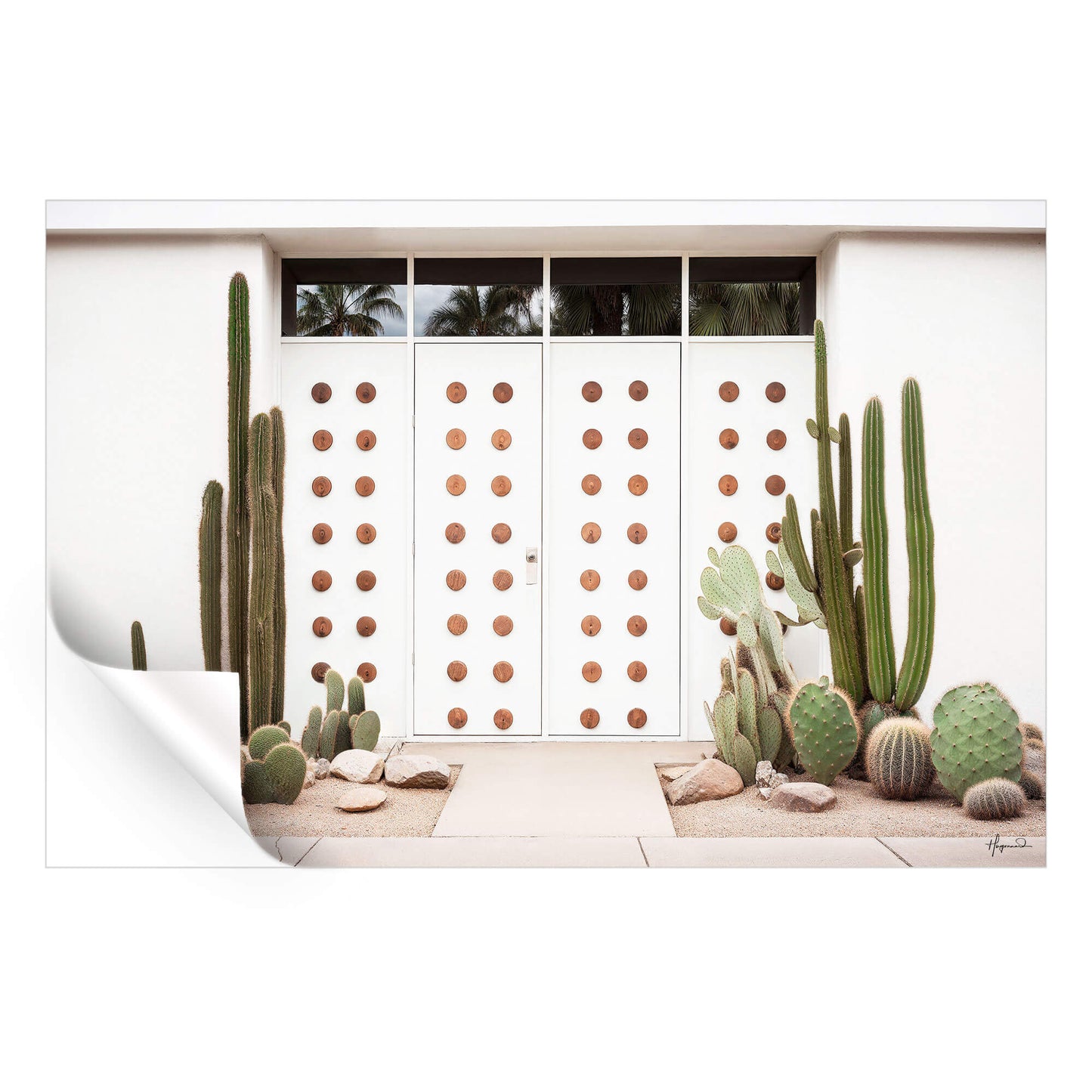 Mid-Century White