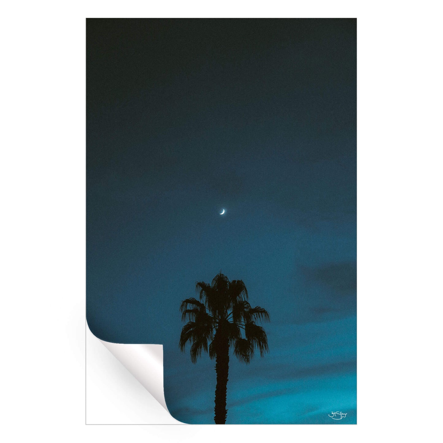 Midnight Moon