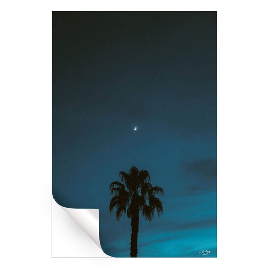 Midnight Moon