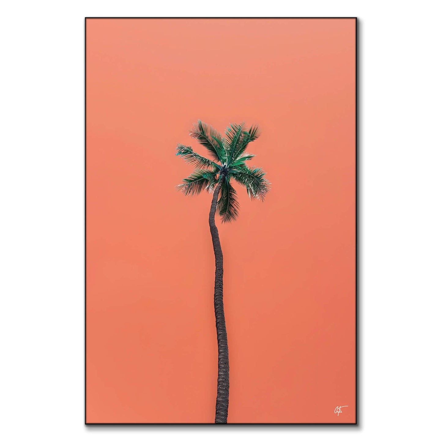 Waikiki