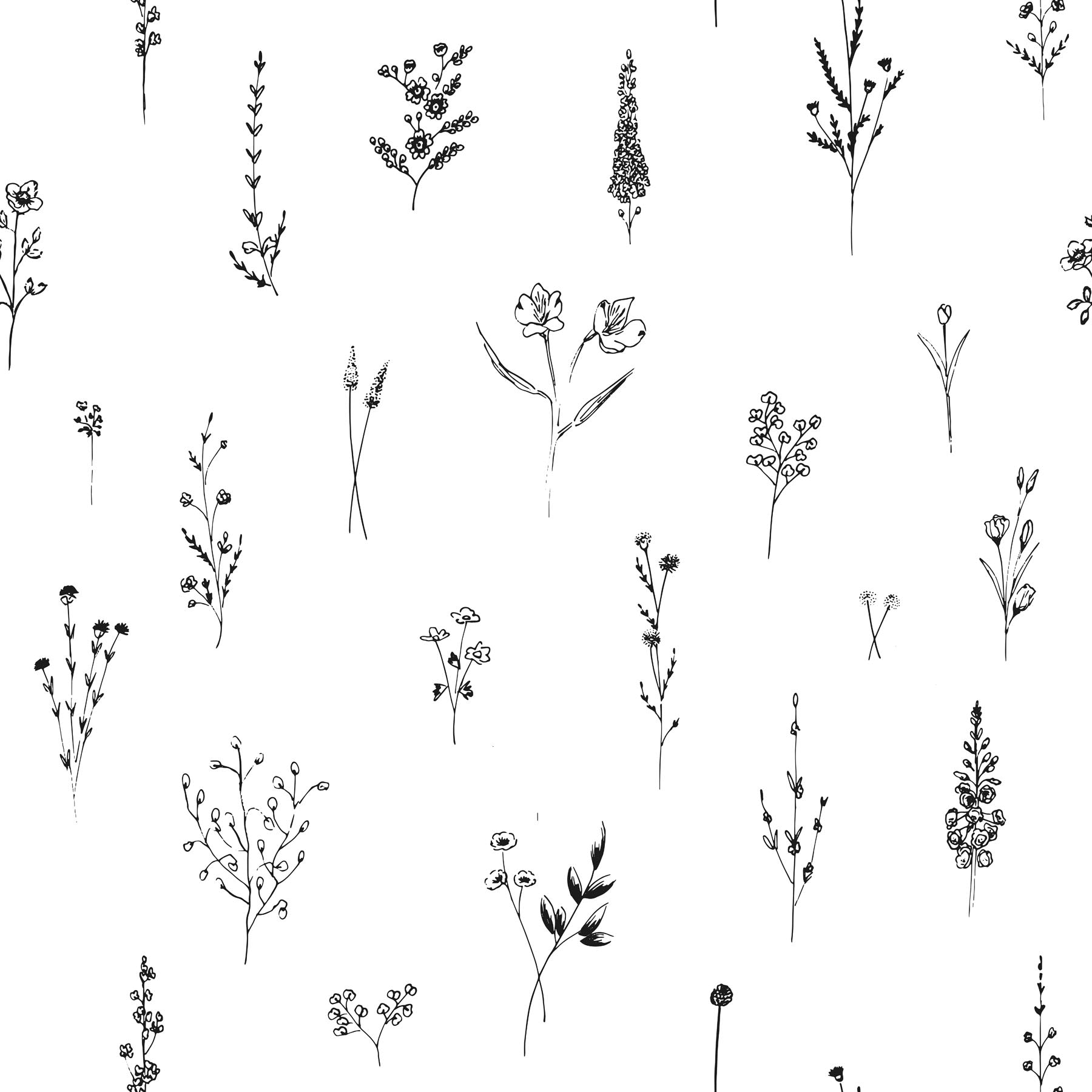 Pattern of black line drawings of wild flowers on a white background