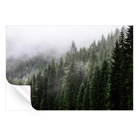 Misty Mountain Top