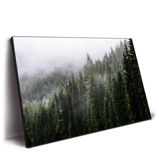 Misty Mountain Top