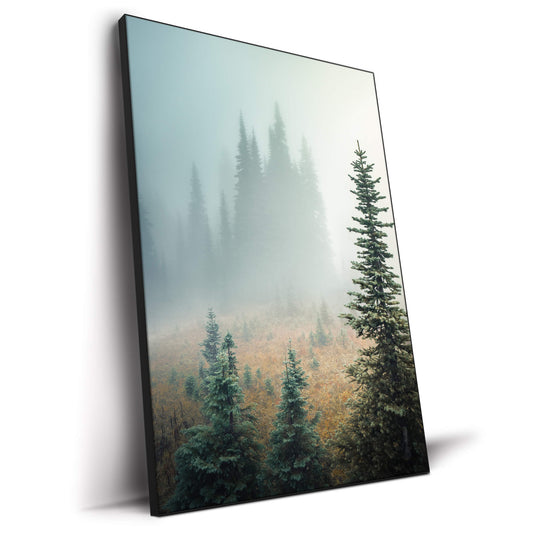 Misty Woods