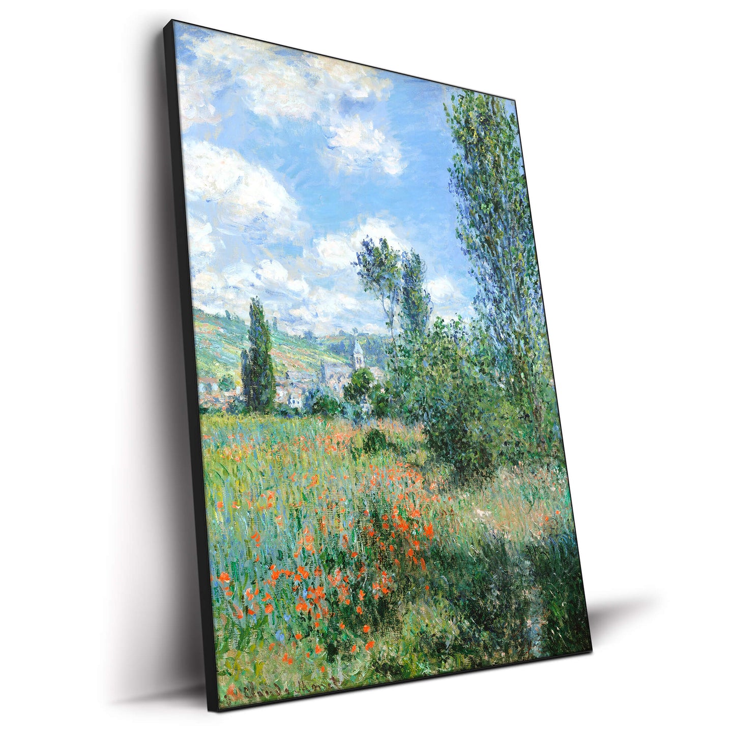 Lane In The Poppy Fields Ile Saint Martin