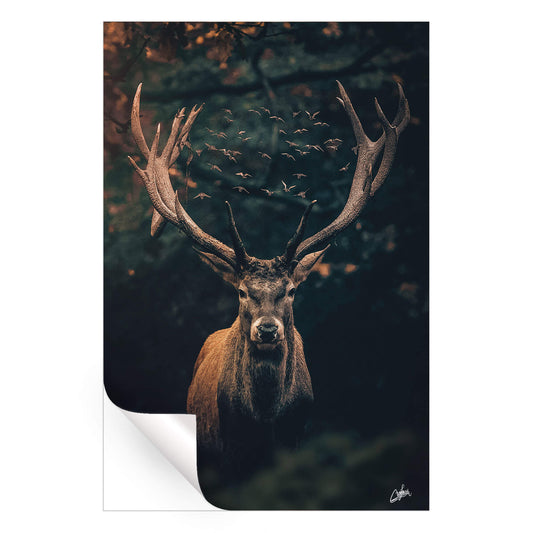 Moody Deer