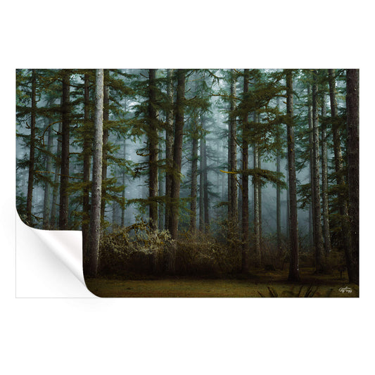 Moody Woods