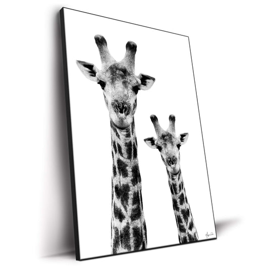 Giraffe and Baby White Edition