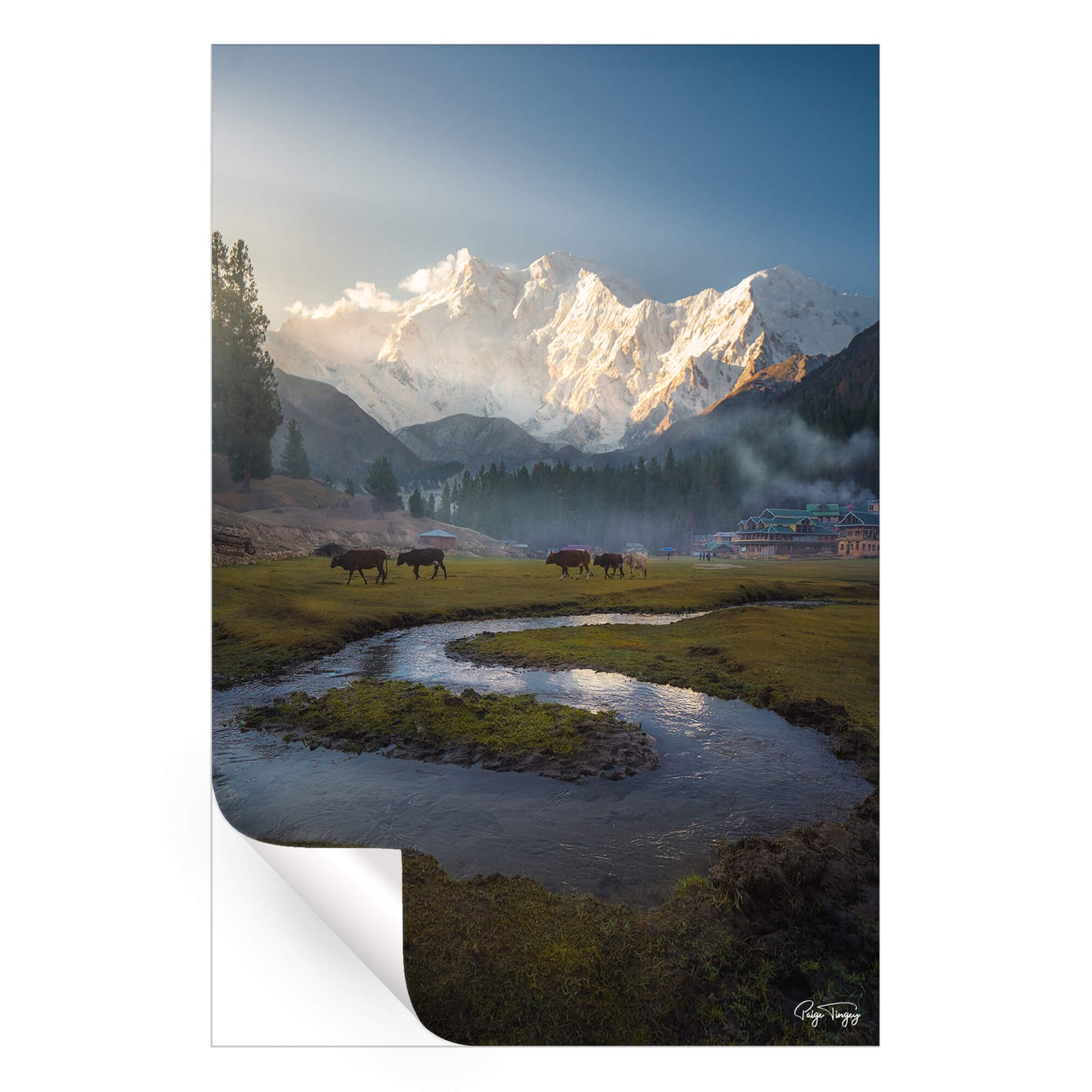 Fairy Meadows
