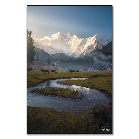 Fairy Meadows
