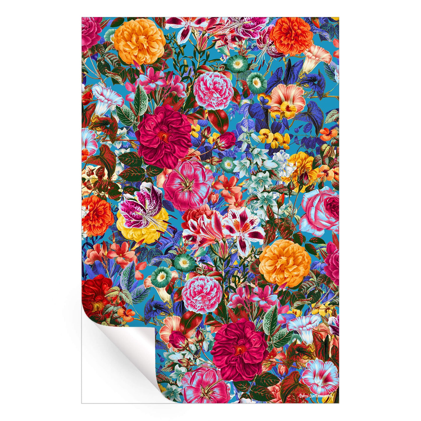 Multicolored Secret Garden