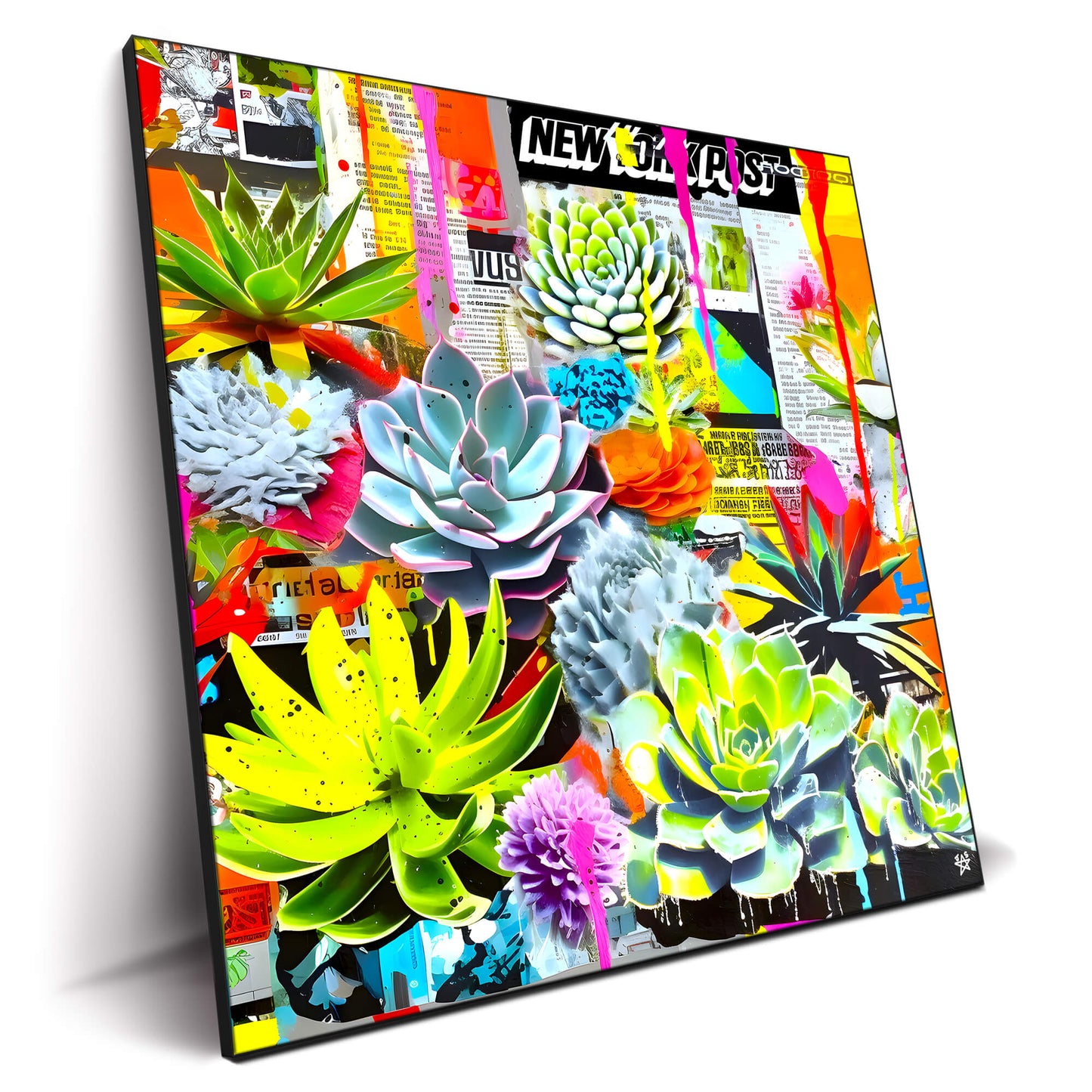 Fluorescent Succulents