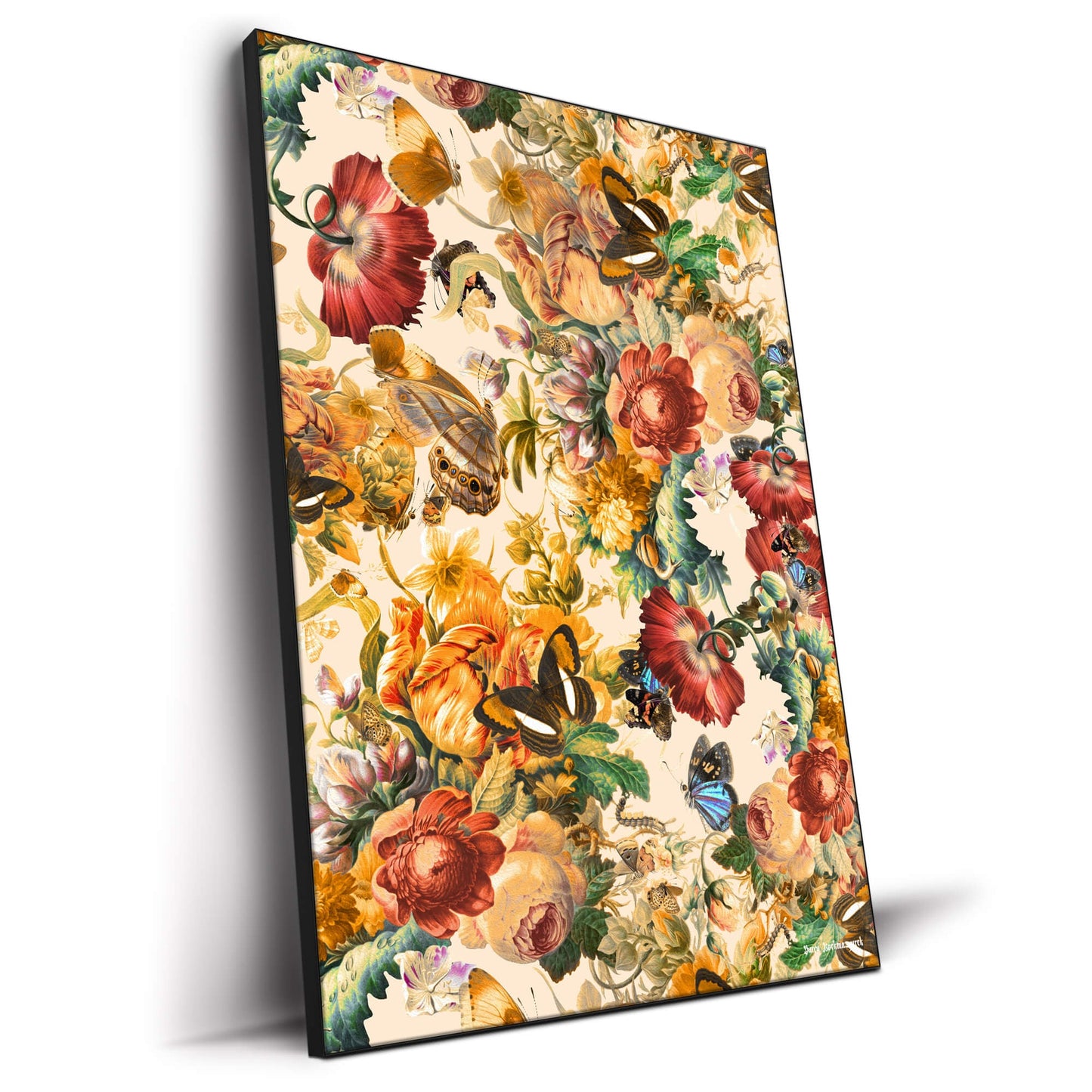 Butterfly and Floral Pattern