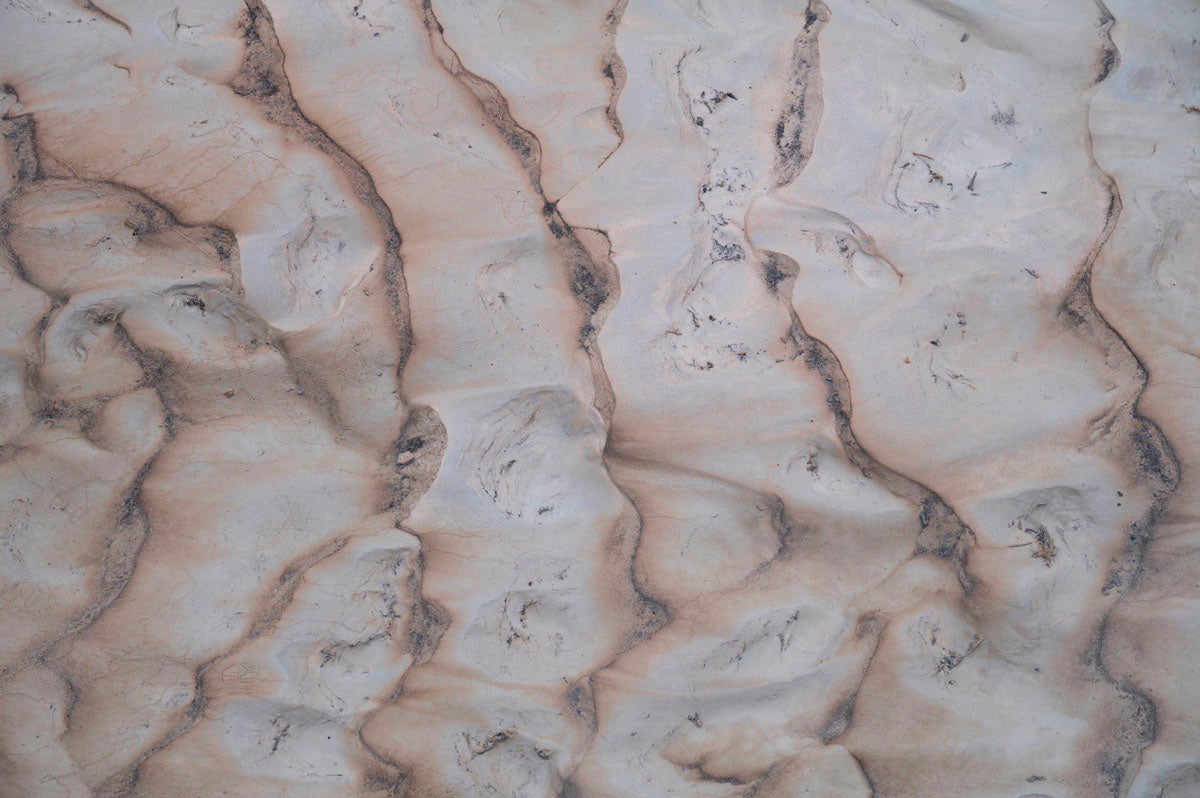 Close-up of textured tone surface mural.