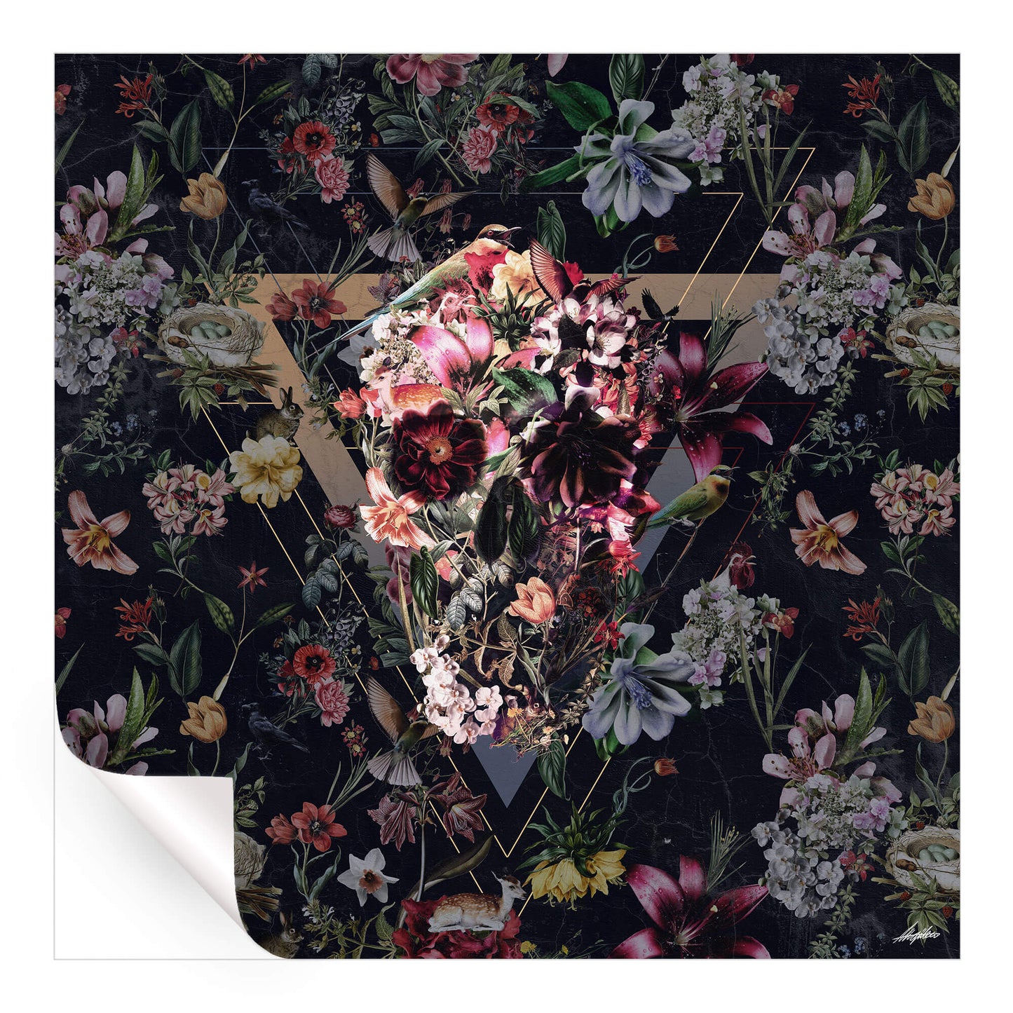 New Skull