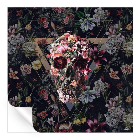 New Skull