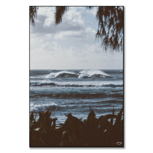 North Shore