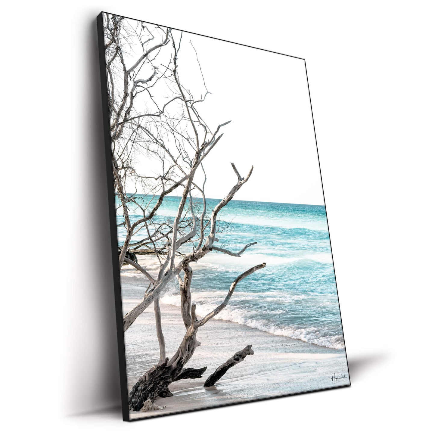 The Wild Beach