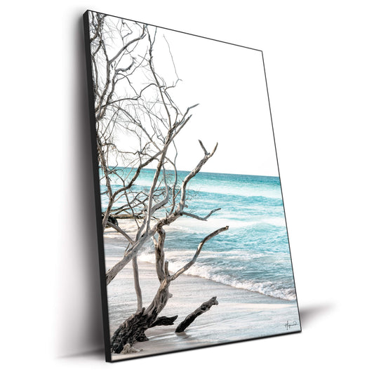 The Wild Beach