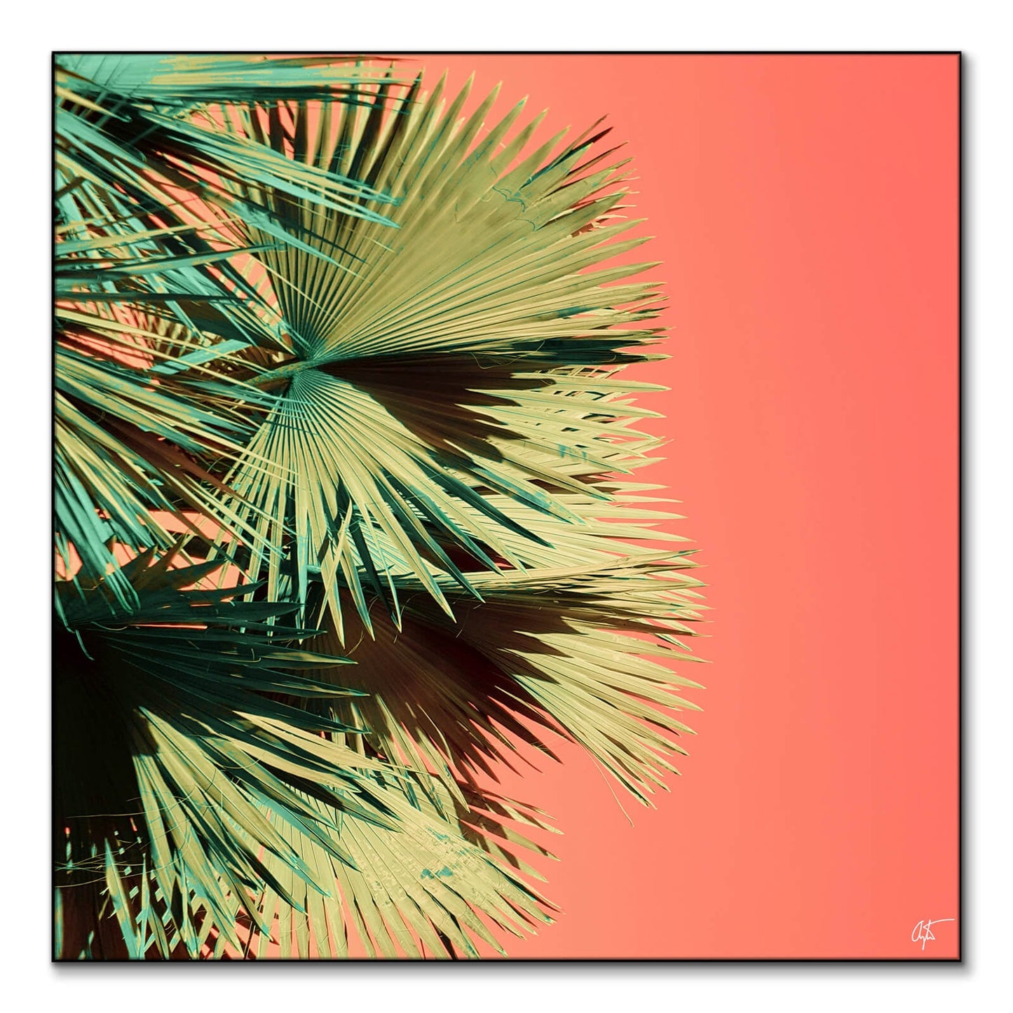 Growth v3