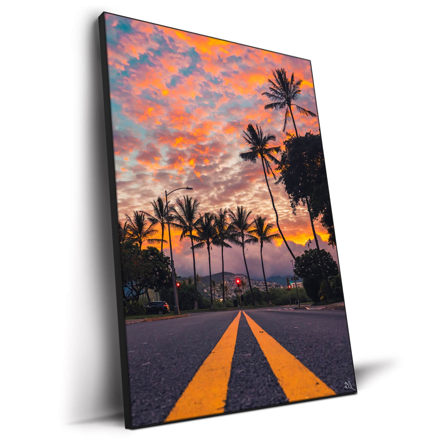 Palm Skies