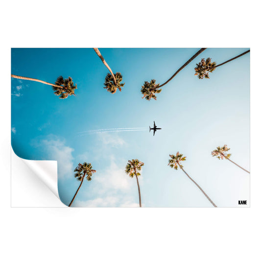 Palm Flight