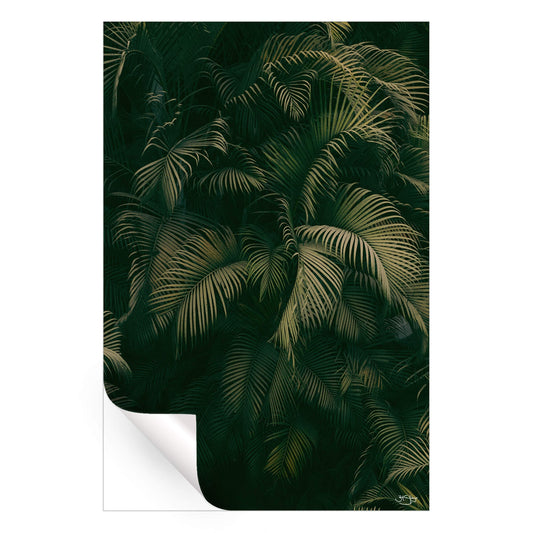 Palm Forest