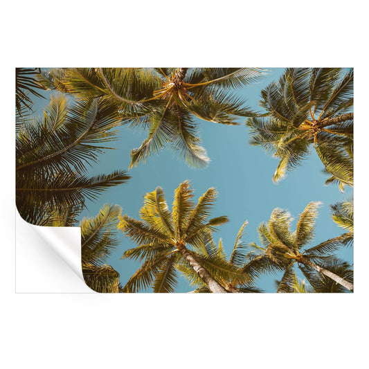 Palm Party