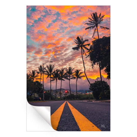 Palm Skies