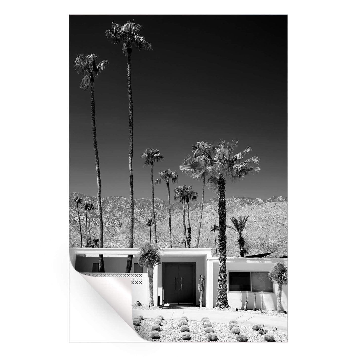 Palm Springs Midcentury Modern