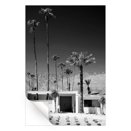 Palm Springs Midcentury Modern