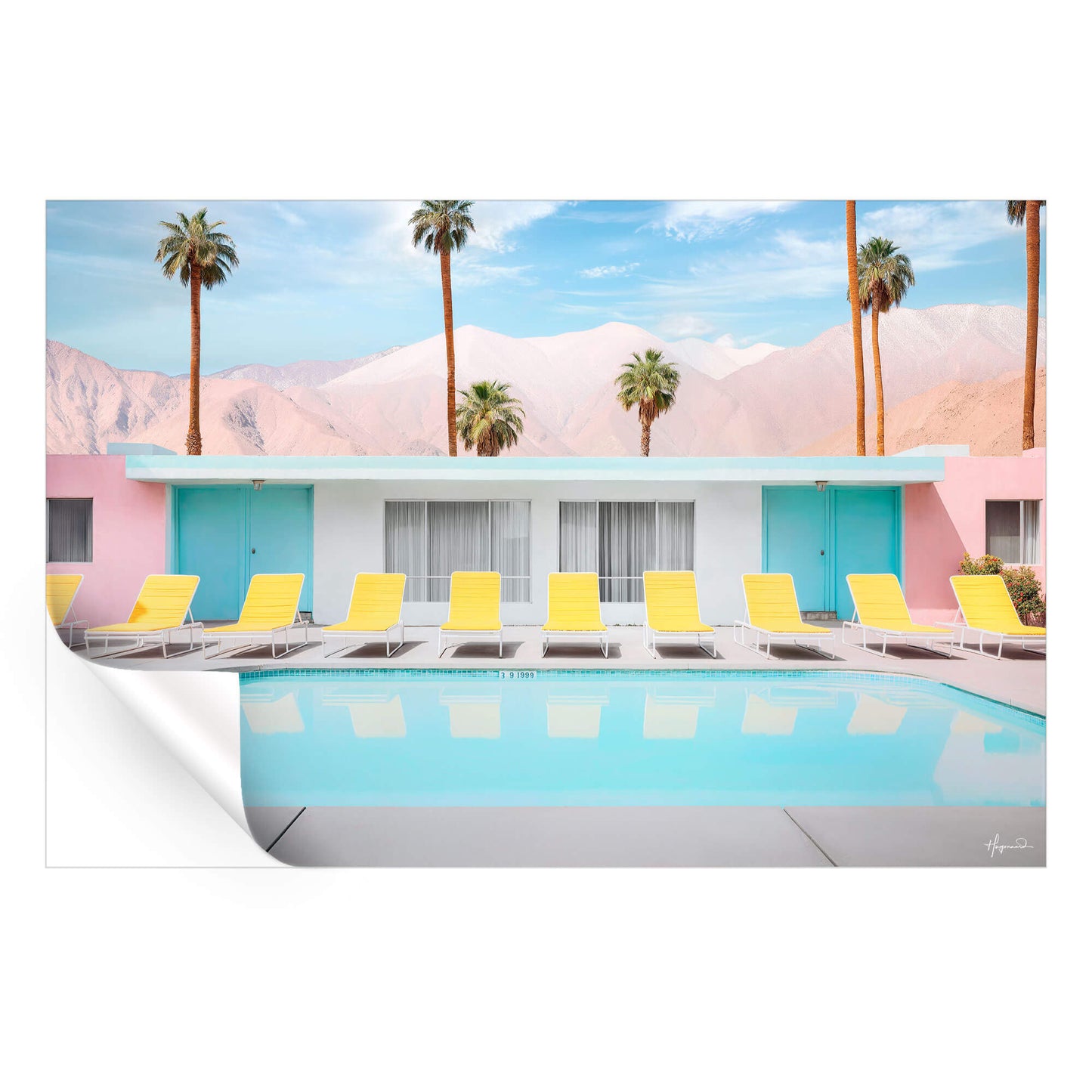 Palm Springs Pool Day