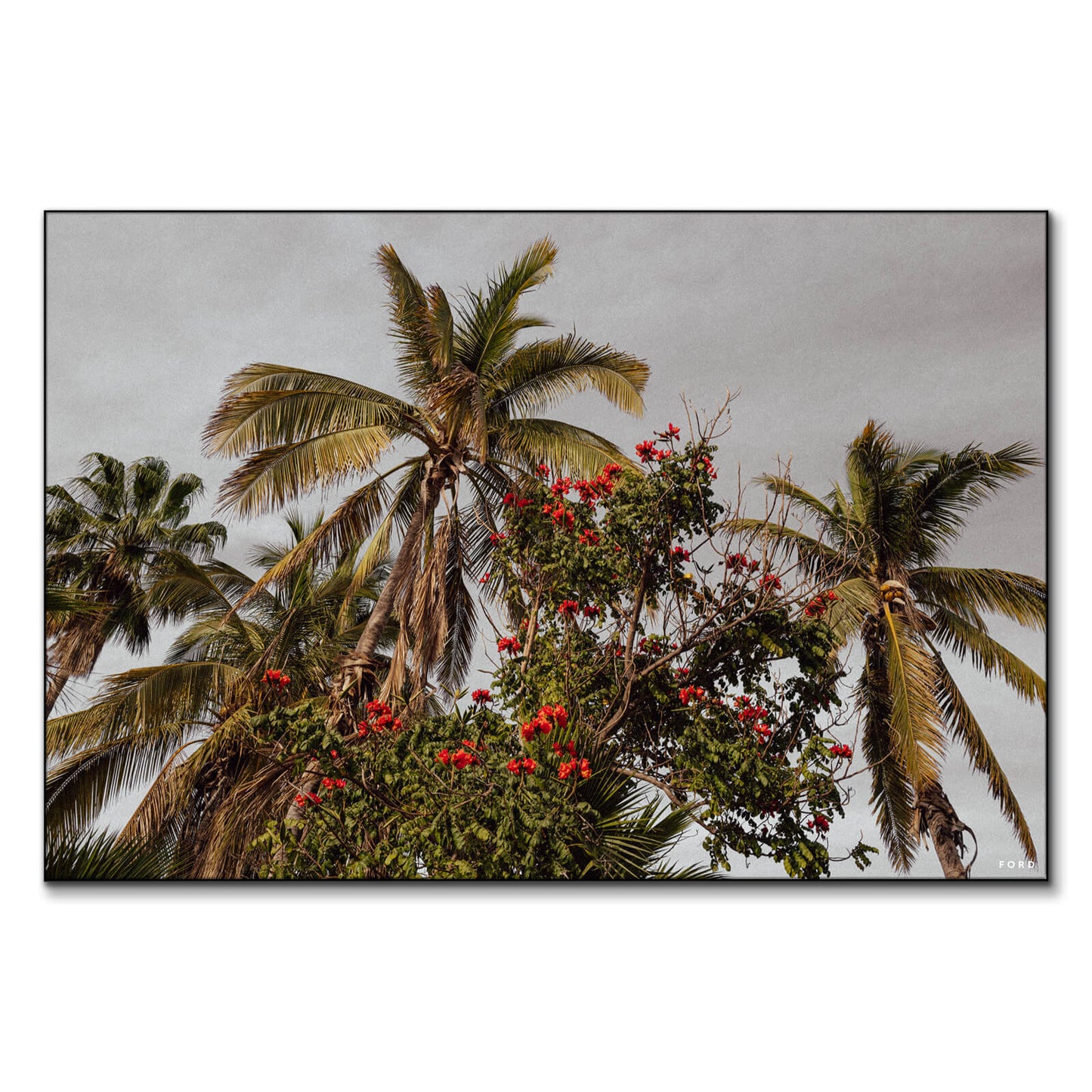 One Day in Mexico