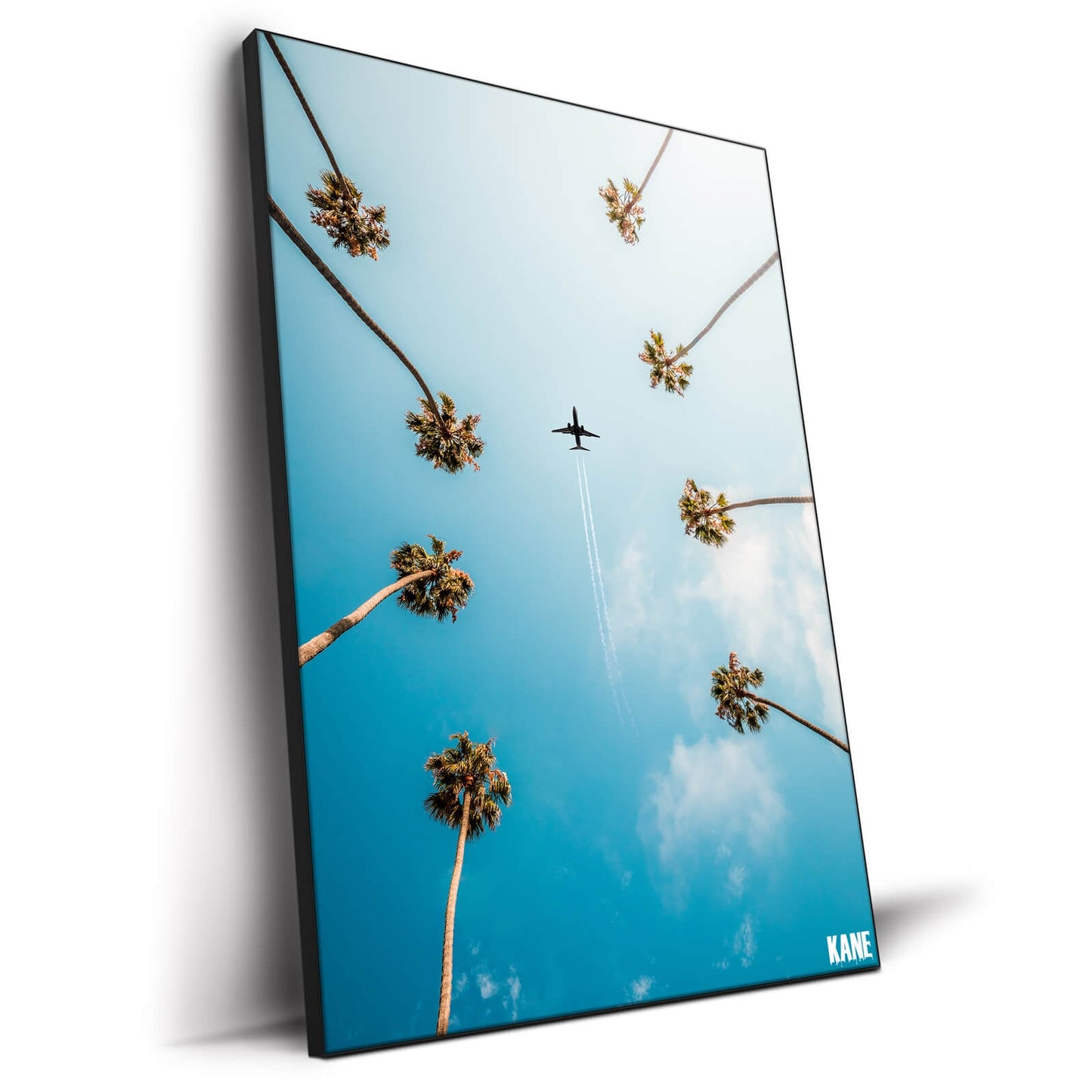 Palm Trees