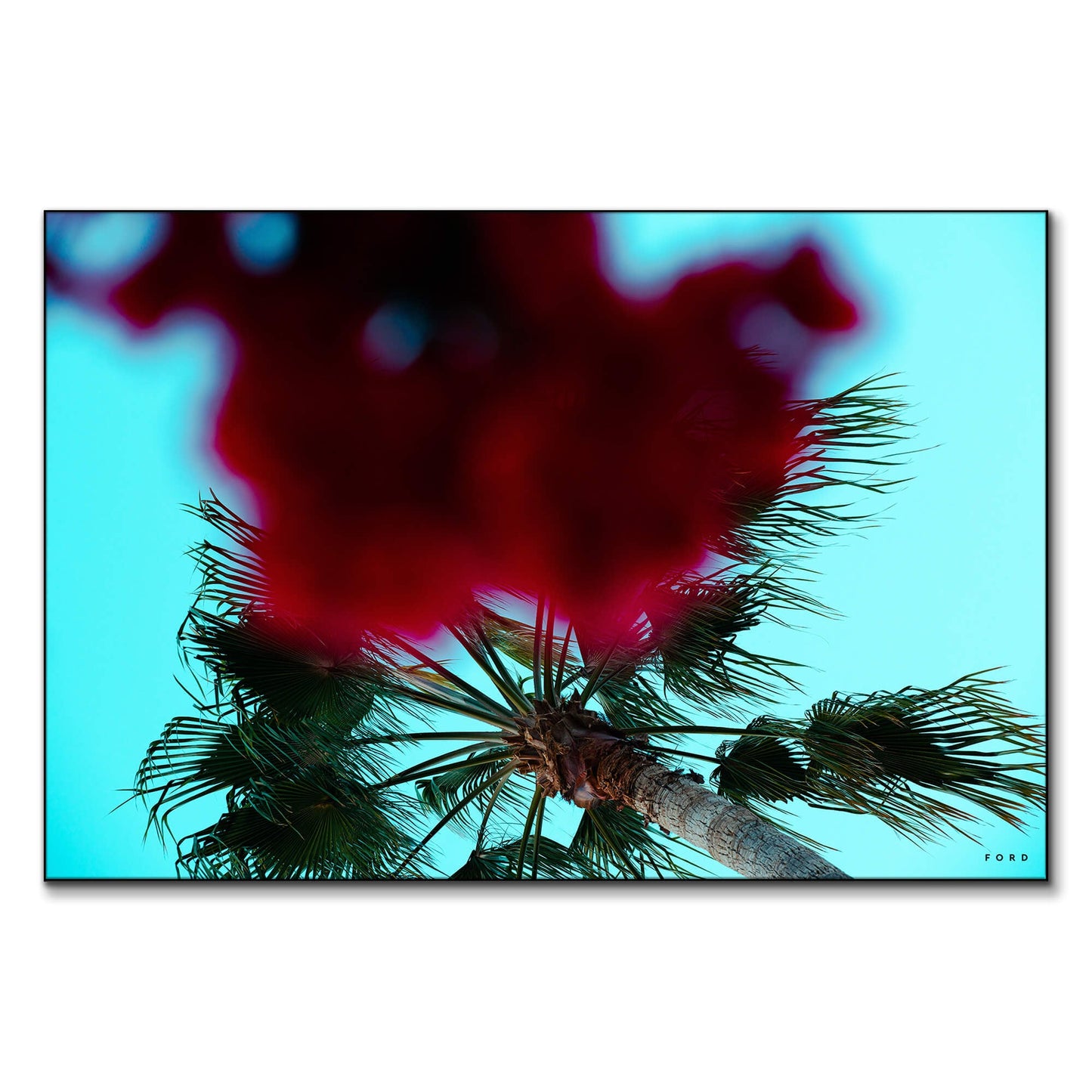 Hustle and FLOWers