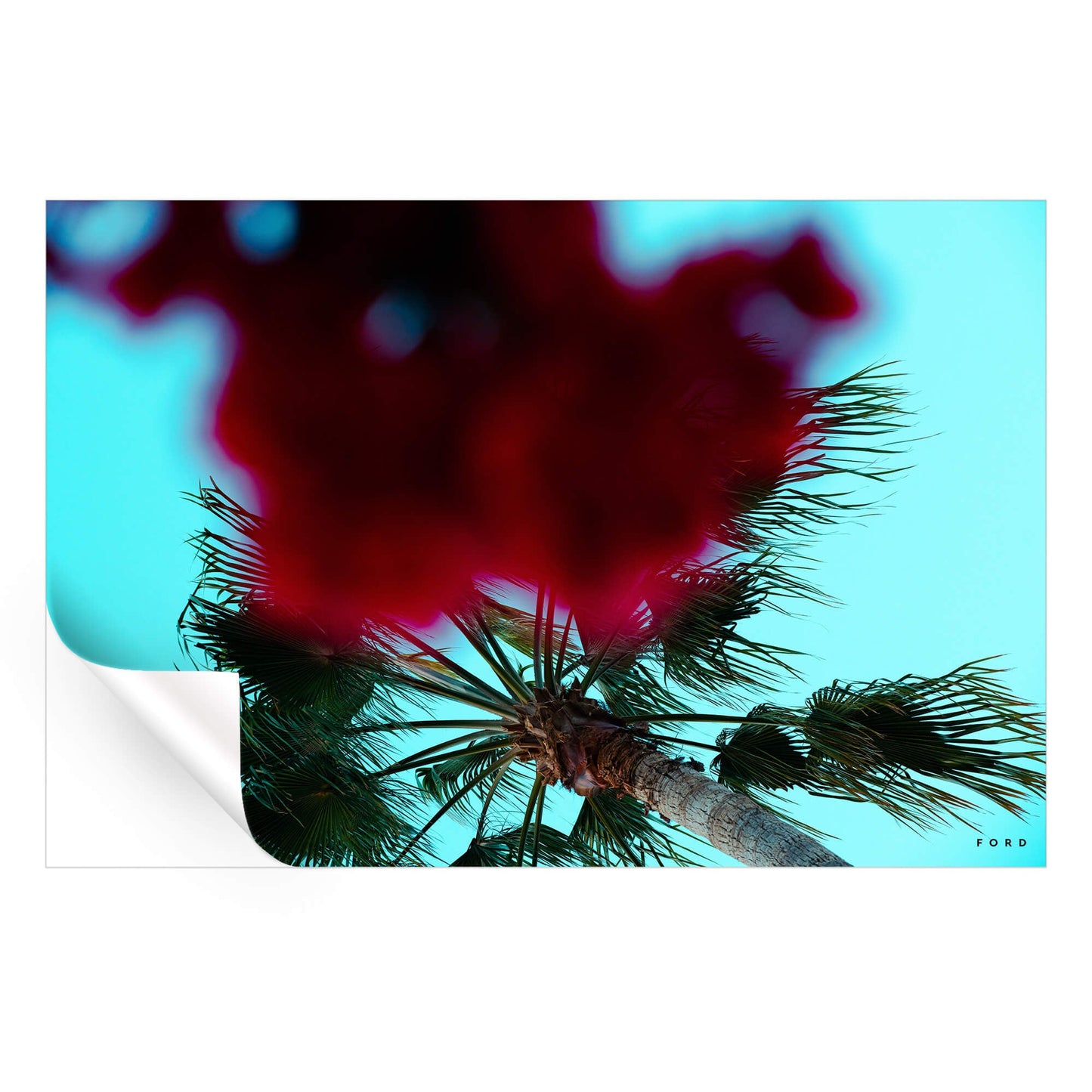 Hustle and FLOWers