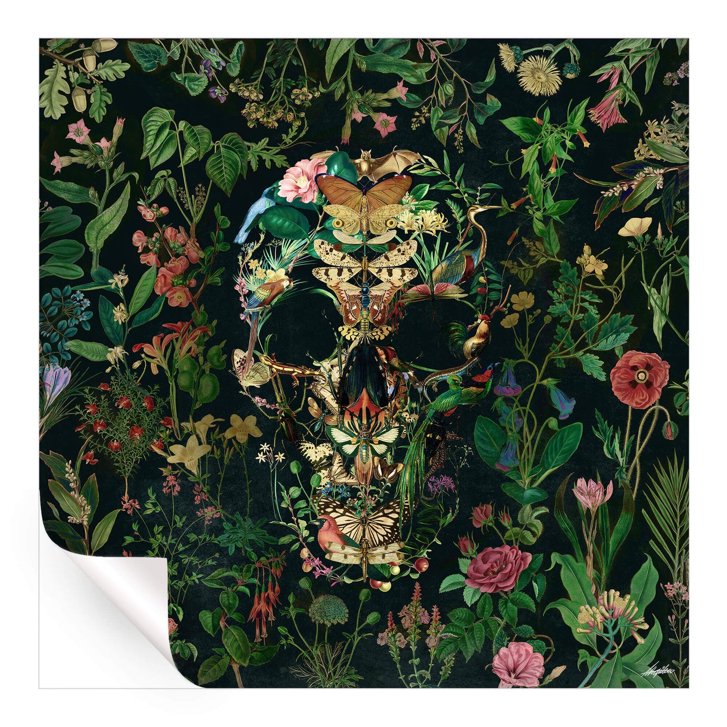 Papilion Skull