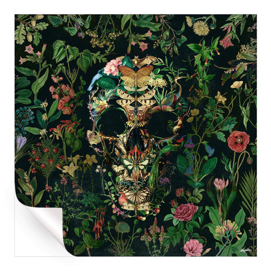 Papilion Skull