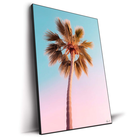 The Pastel Palm
