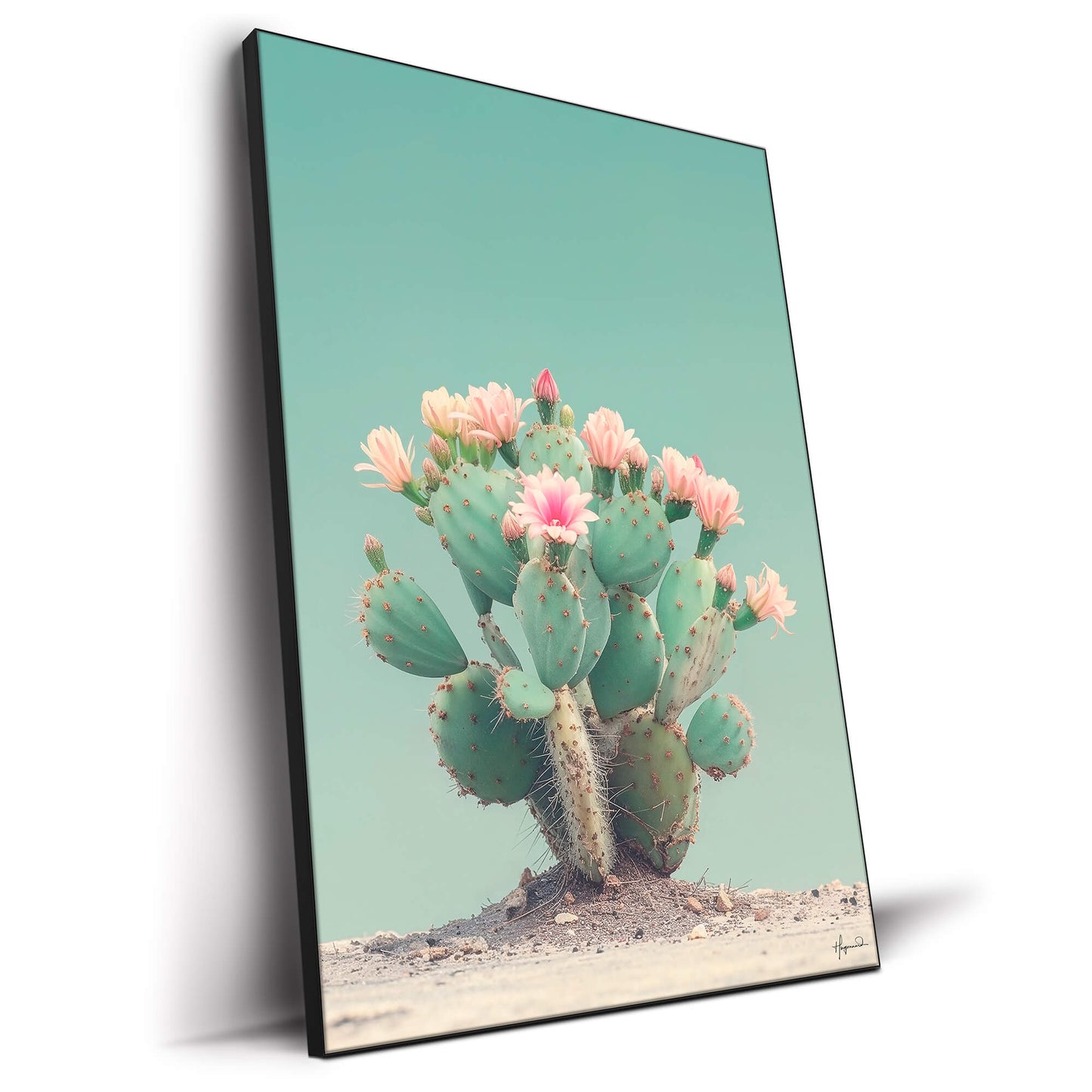 Cactus Flowers III