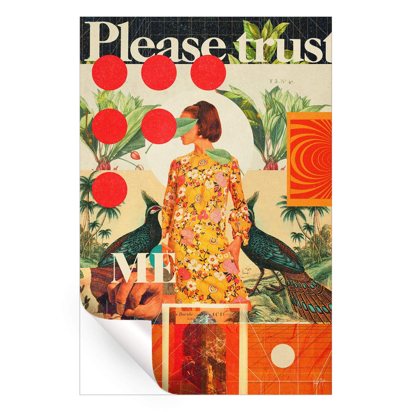 Please Trust Me