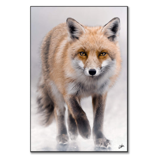 Fox Hunter