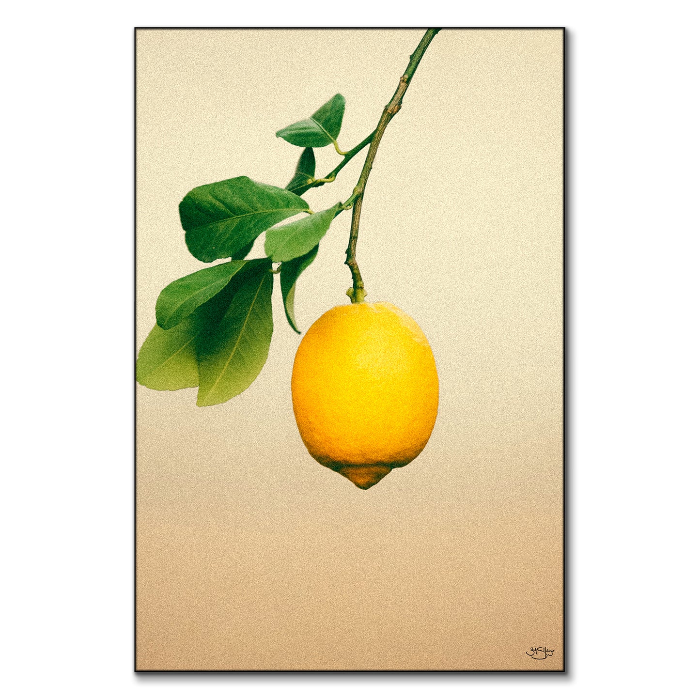 California Lemon