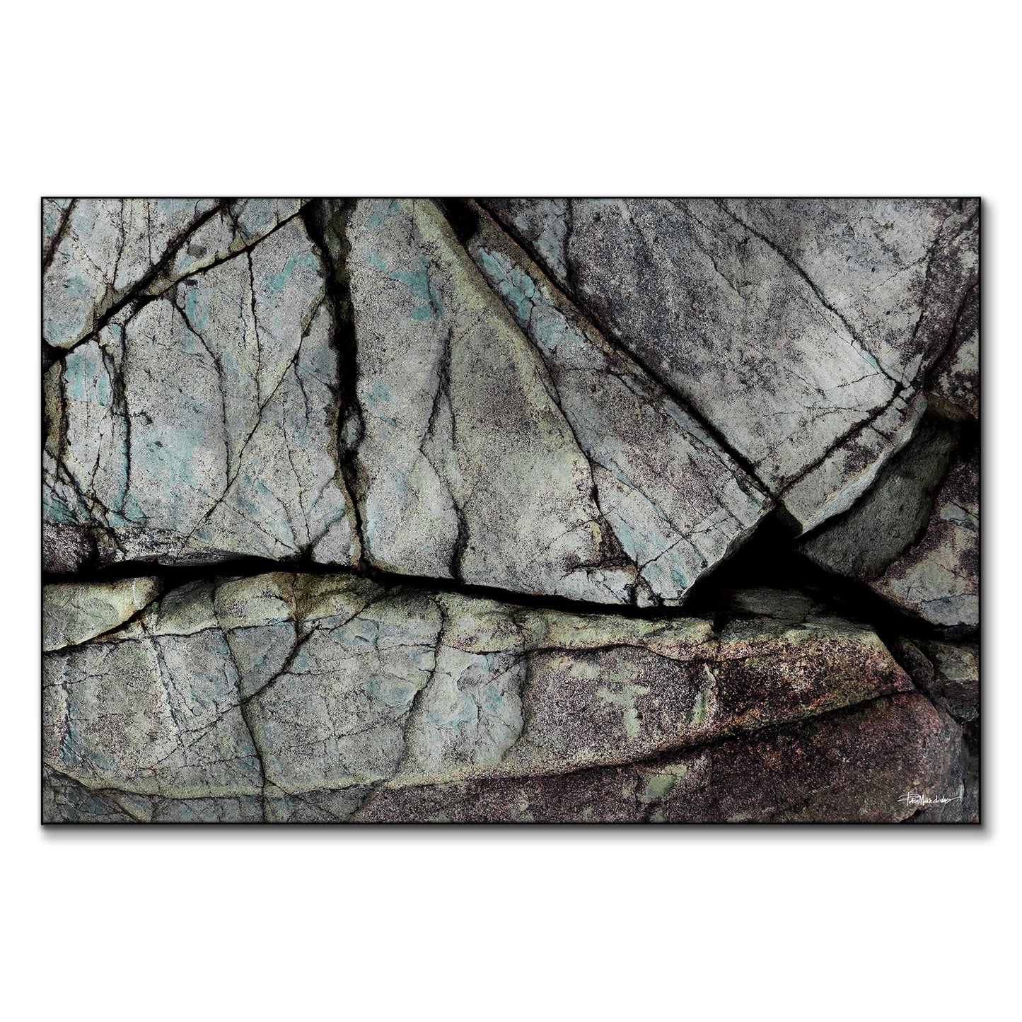 Understory